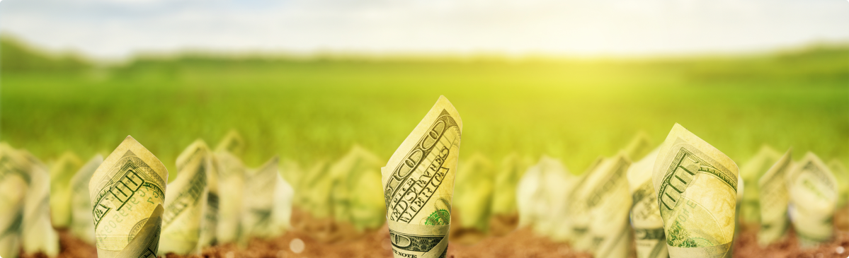 investing in agriculture