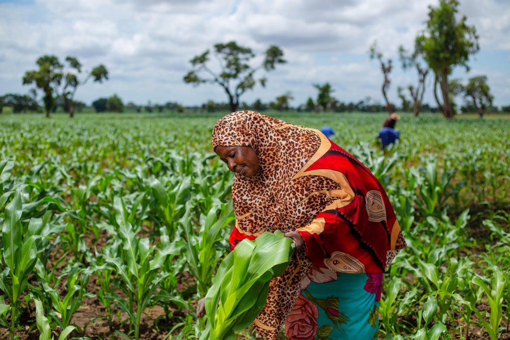 the role of women in agriculture