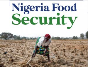 Nigeria Food Security Report, 2021- Babban Gona