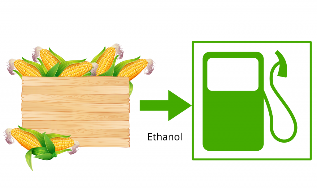 ethanol maize