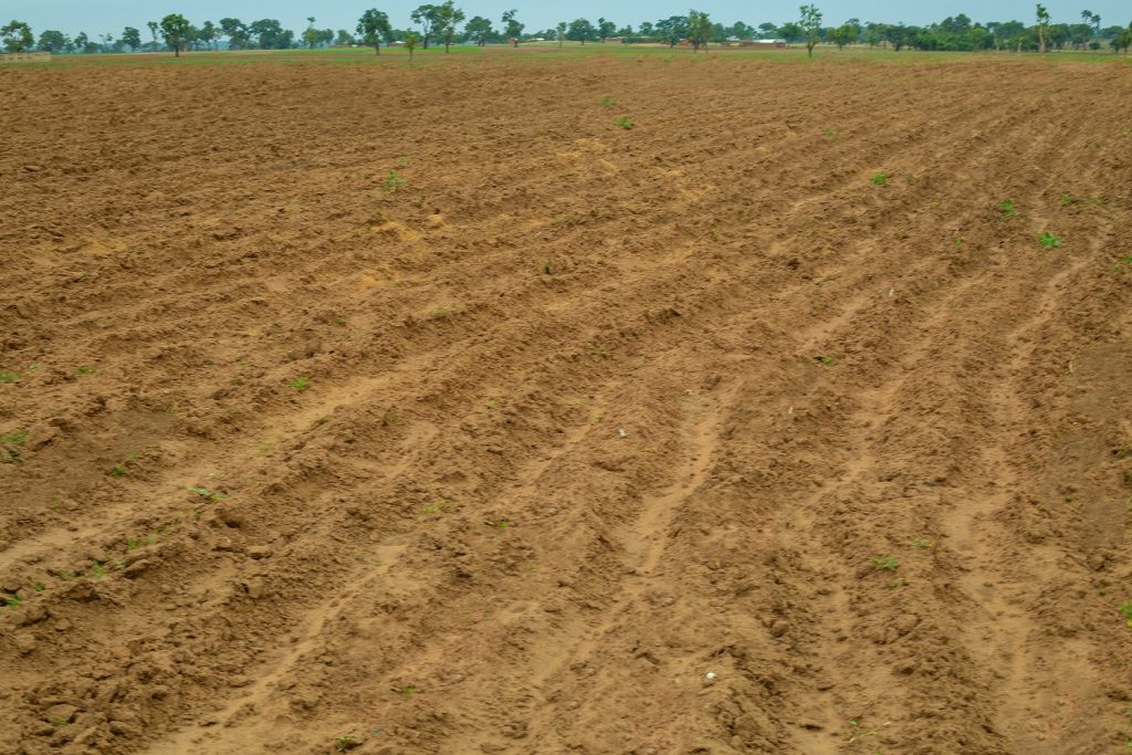 dry season farming in nigeria