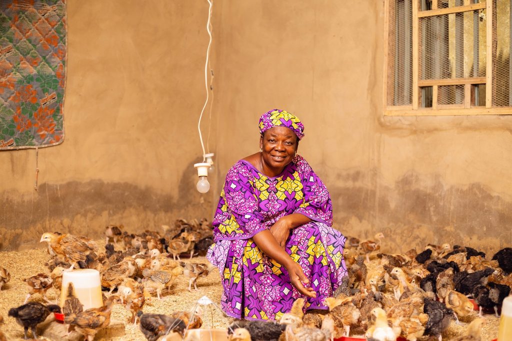 poultry farming in Nigeria - Babban Gona WEDI member tending to her poultry